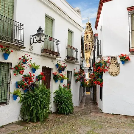 El Patio De Lindo Lejlighed Córdoba