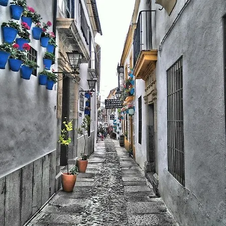 El Patio De Lindo Córdoba